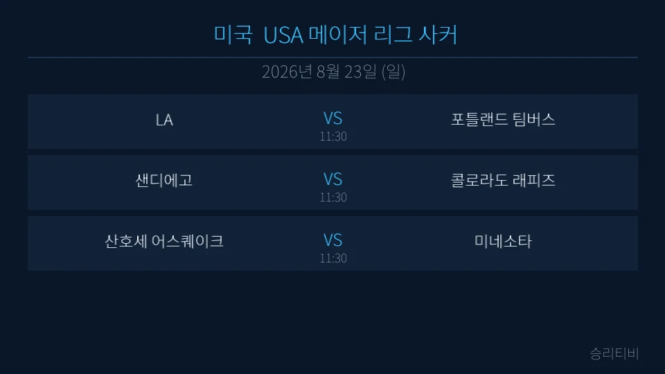 USA 메이저 리그 사커